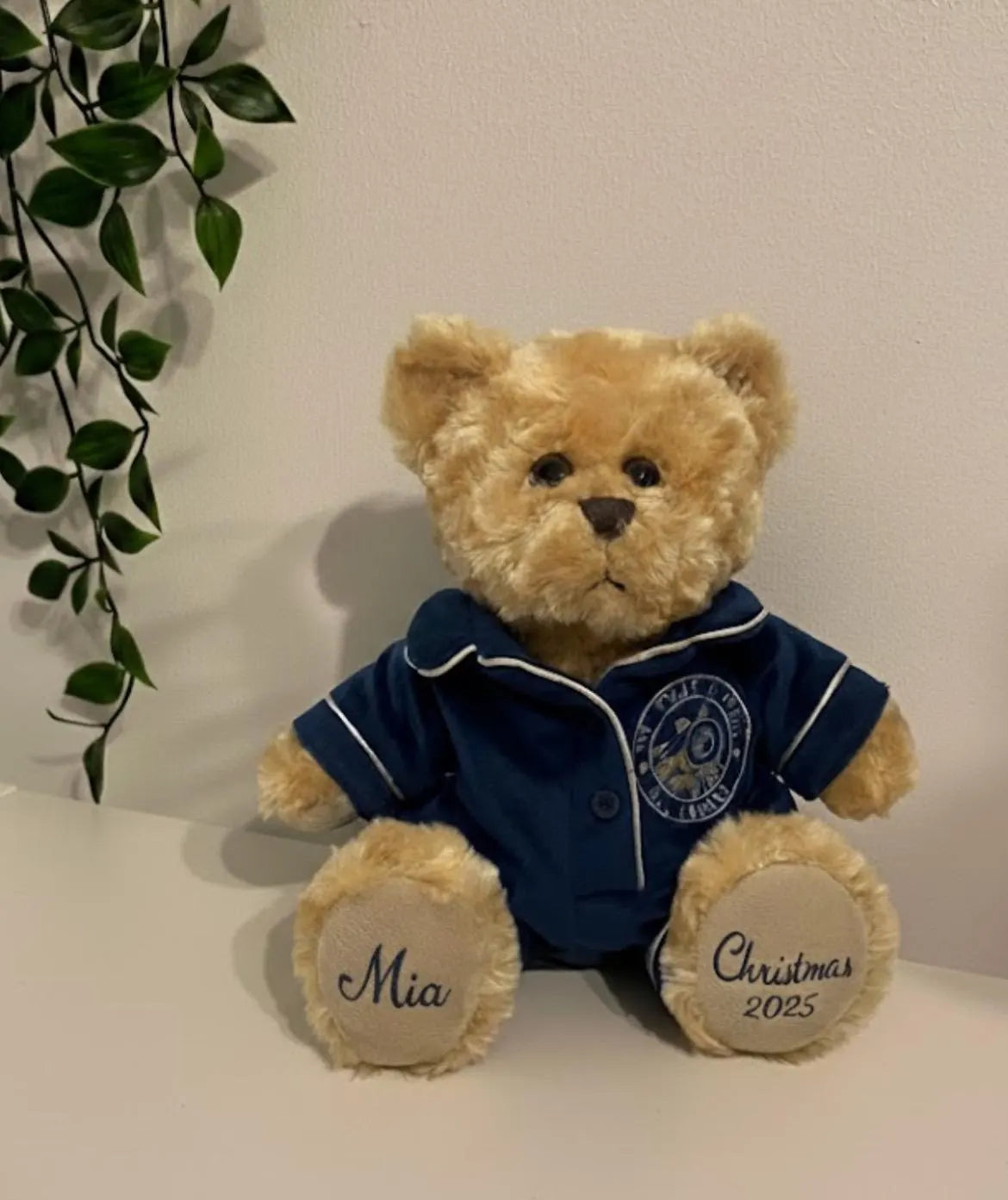 Polar Express Teddy, Personslised Teddy , 1st Christmas , Soft Toy,Christmas Giff