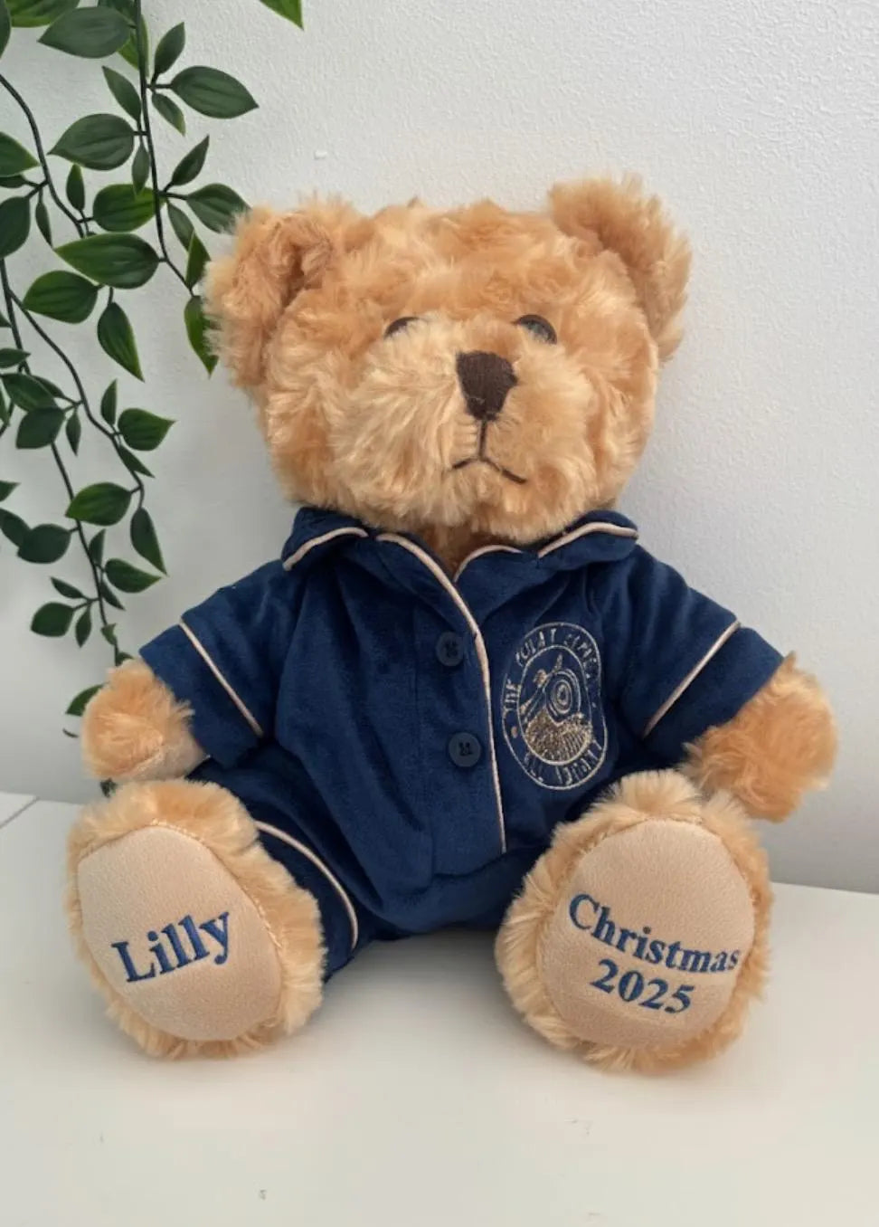 Polar Express Teddy, Personslised Teddy , 1st Christmas , Soft Toy,Christmas Giff