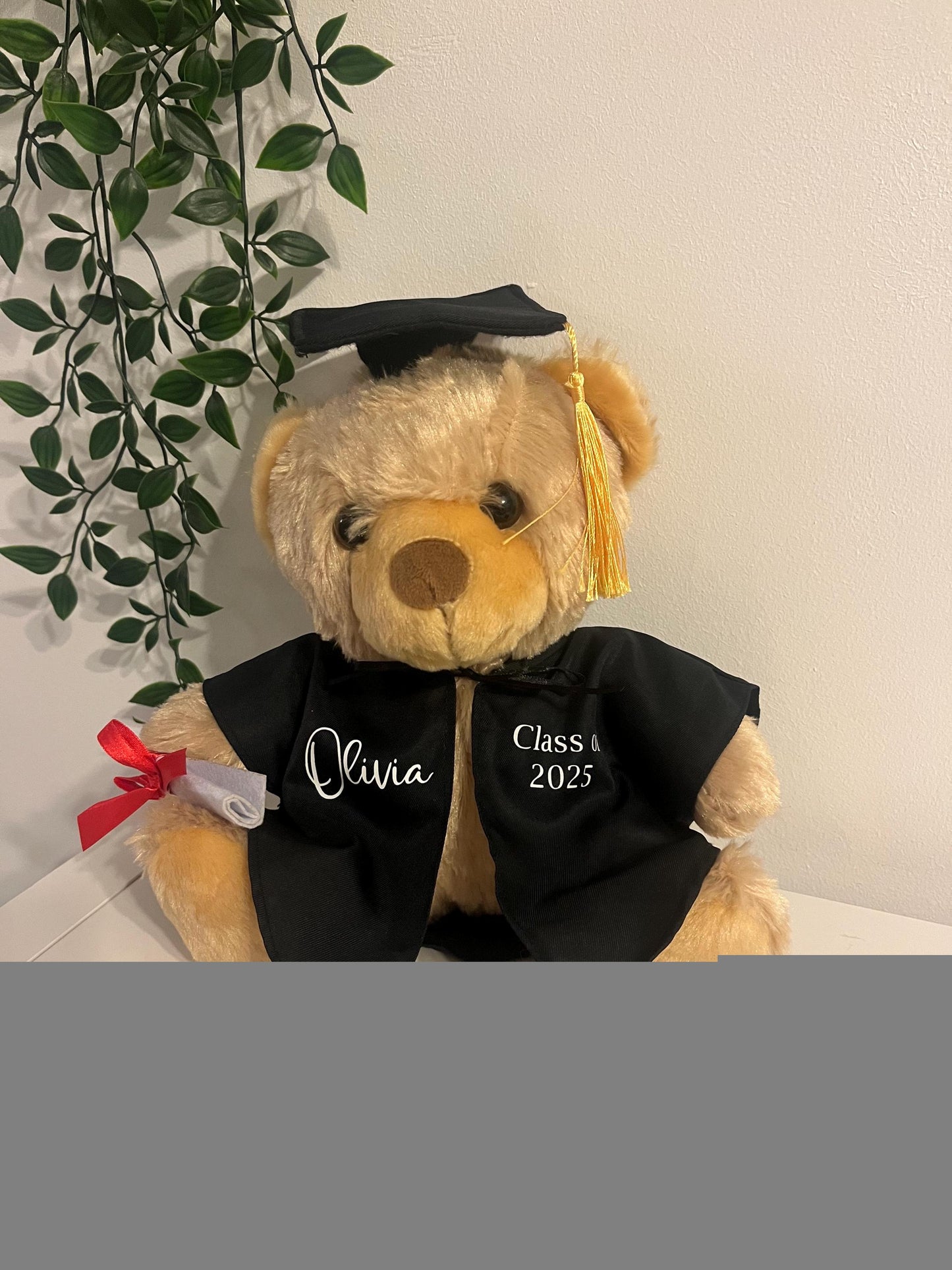 Graduation Teddy, Personalized Soft Teddy , Graduation Gift